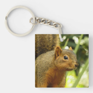 Porte-clés Portrait d'un écureuil Photographie d'animal de na