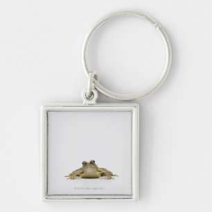 Porte-clés Portrait d'une grenouille dans un studio blanc