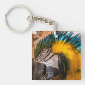 Porte-clés Portrait en macao bleu et jaune (Devant)