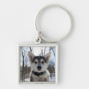 Porte-clés Portrait extérieur de chiot enroué de chien
