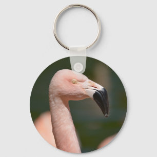 Porte-clés Portrait flamingo