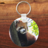 Porte-clés Portrait Red Panda (Recto)
