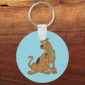 Porte-clés Pose Scooby-Doo Bashful (Recto)