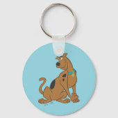 Porte-clés Pose Scooby-Doo Bashful (Verso)