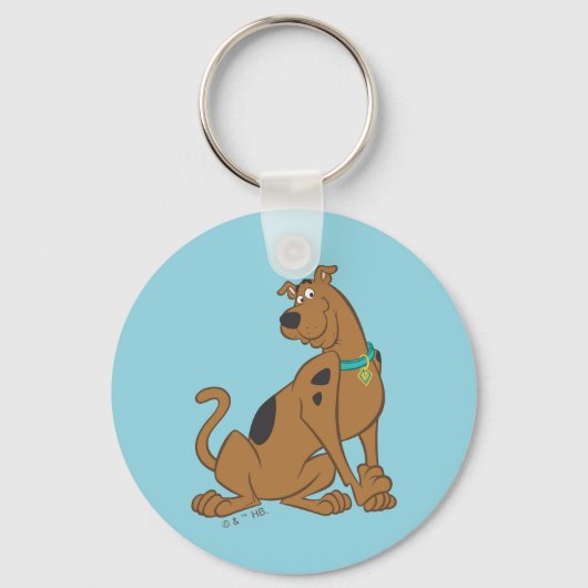 Porte-clés Pose Scooby-Doo Bashful (Verso)