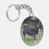 Porte-clés Position aux cheveux courts de chiwawa (Devant gauche)