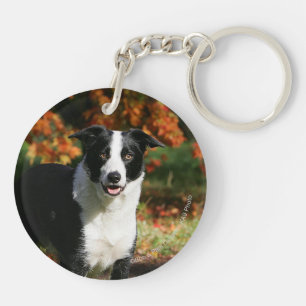 Porte-clés Position d'automne de border collie