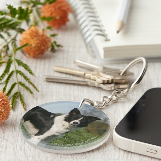 Porte-clés Position de border collie (Devant droit)