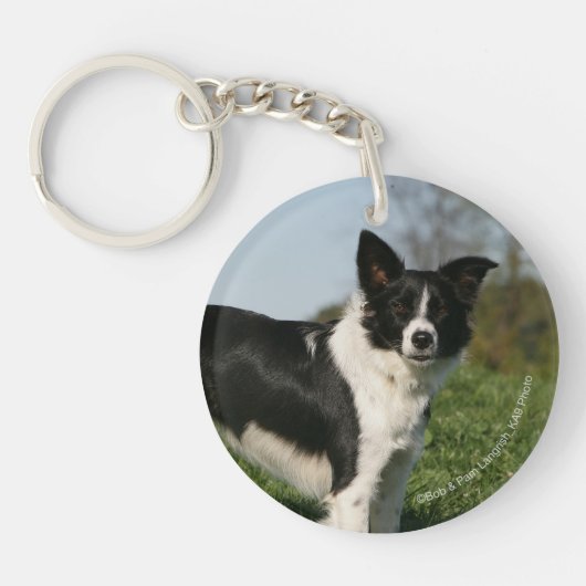 Porte-clés Position de border collie (Devant)