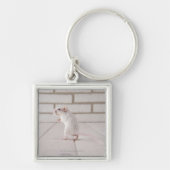 Porte-clés Position de gerbille (Devant)