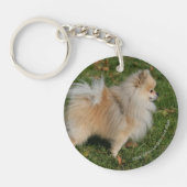 Porte-clés Position de Pomeranian (Devant)