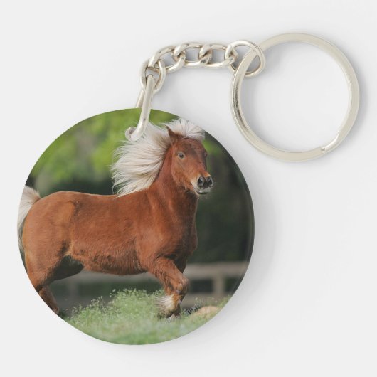 Porte-clés Position miniature de cheval (Dos)