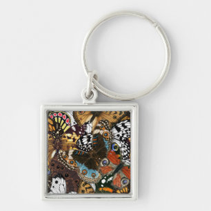 Porte-clés Poster de animal. Ailes papillons.