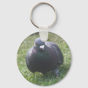 Porte-clés Poster le Porte - clé Pigeon