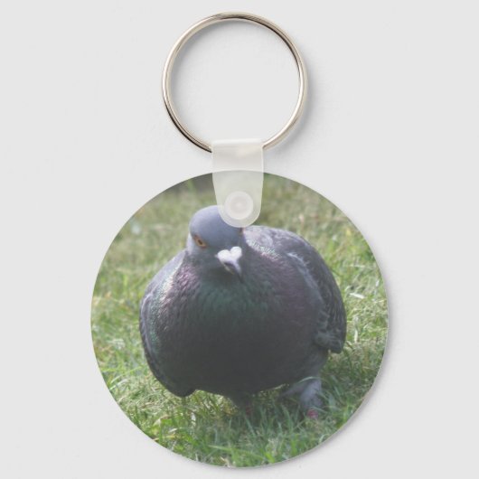 Porte-clés Poster le Porte - clé Pigeon (Recto)