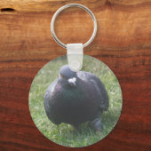 Porte-clés Poster le Porte - clé Pigeon (Recto)