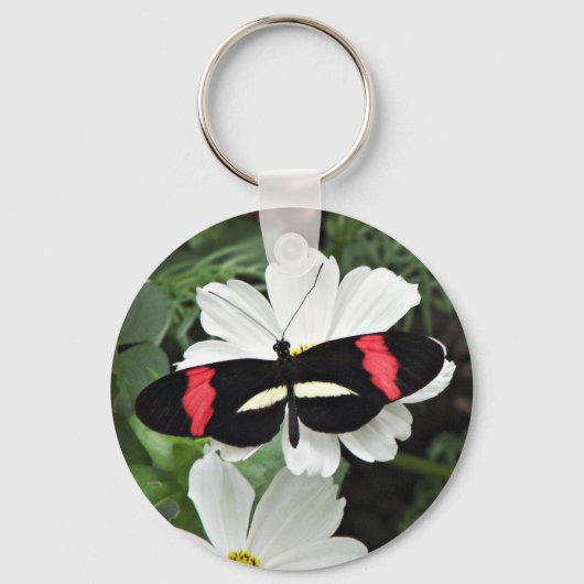Porte-clés Postman Longwing Butterfly sur Flower (Recto)