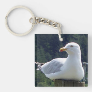 Porte-clés Poteau de Clôture Mouette Boisland Faune Sérénité