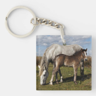 Porte-clés Poulain du cheval de Camargue avec sa mère
