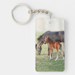 Porte-clés Poulain miniature de cheval - colt et pouliche