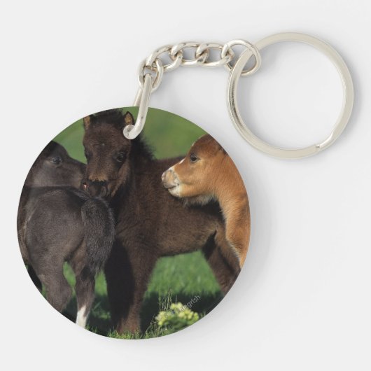 Porte-clés Poulains 1 de miniature (Dos)