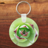 Porte-clés Poules et poulets Beau Plante de fleurs succulent (Recto)