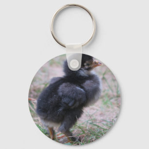 Porte-clés poulet, poussins, poulets, poussins, animal, oisea