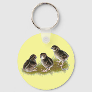 Porte-clés Poussins de caille Coturnix