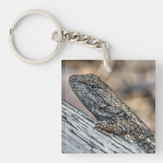 Porte-clés Prairie Lizard (Devant)