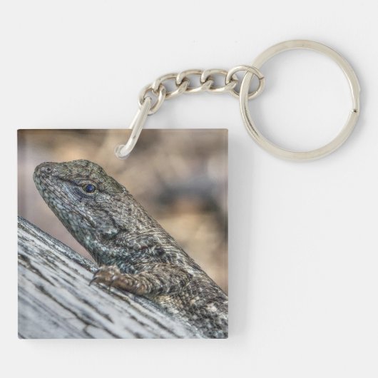 Porte-clés Prairie Lizard (Dos)