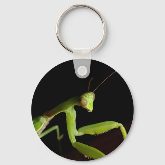 Porte-clés Praying mantid (Recto)