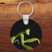 Porte-clés Praying mantid (Recto)