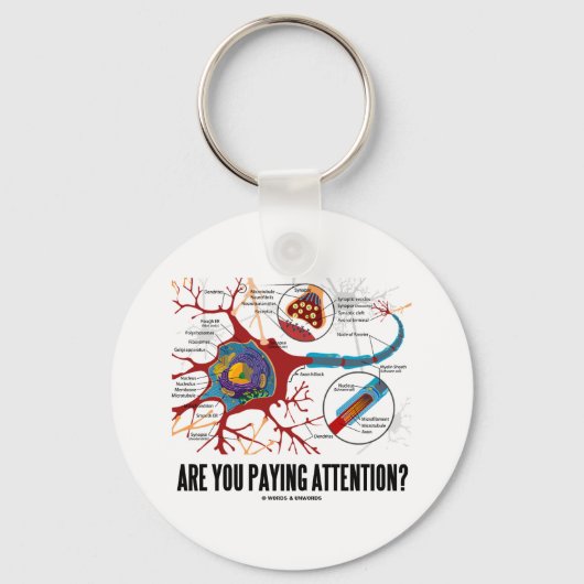 Porte-clés Prends-Tu Attention ? (Humour Synapse du neurone) (Recto)