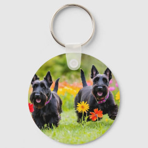 Porte-clés Prêter des Terriers écossais dans l'herbe et les f