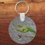 Porte-clés Prier le porte - clé Mantis (Recto)