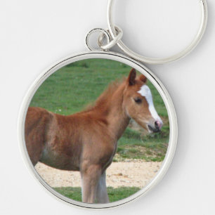 Porte-clés Printemps mignon de cadeaux de destin de poulain d