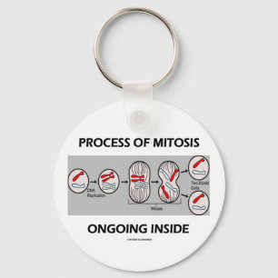 Porte-clés Processus de l'intérieur actuel de mitose