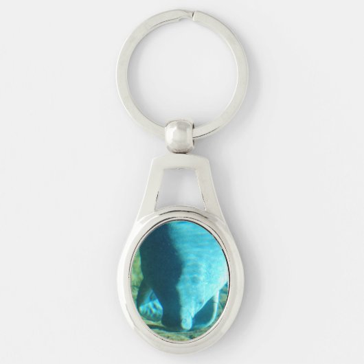 Porte-clés Produit de personnaliser (Devant)