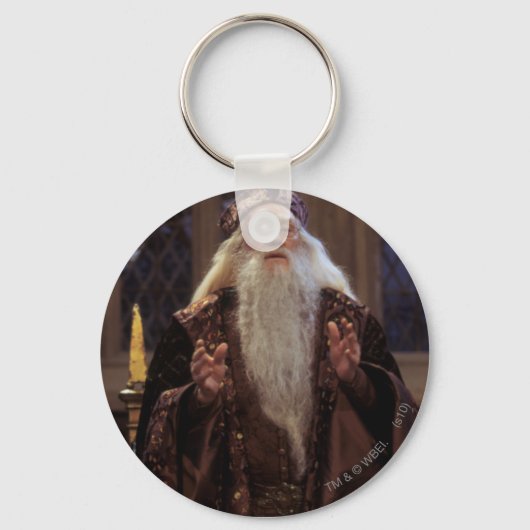 Porte-clés Professeur Dumbledore (Recto)