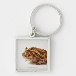 Porte-clés Profil de grenouille à cornes argentine