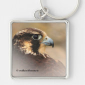Porte-clés Profil d'un faucon pèlerin (Devant)