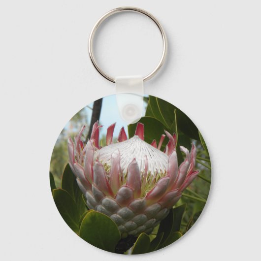 Porte-clés Protea Flower Hawaii Porte - clé (Recto)
