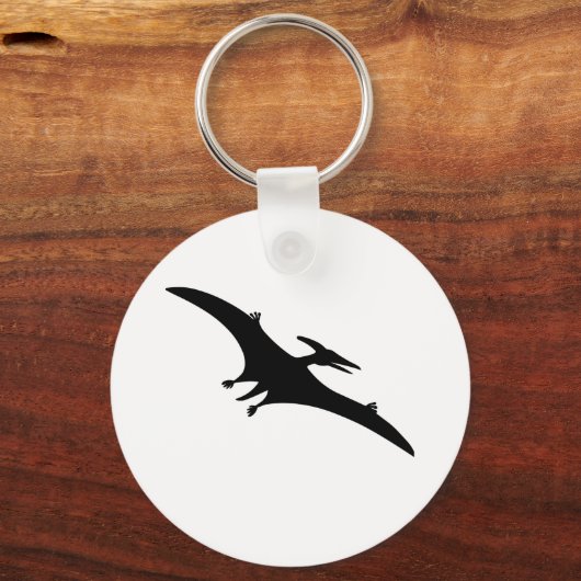 Porte-clés Ptéodactyle Dinosaure (Recto)