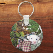 Porte-clés Publicité du service pour animaux domestiques (Recto)