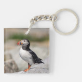 Porte-clés Puffin Atlantique en Machias, Maine (Dos)