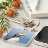 Porte-clés Puffin Atlantique en Machias, Maine (Devant Droit)