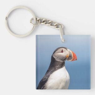 Porte-clés Puffin Atlantique en Machias, Maine