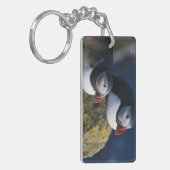 Porte-clés Puffin de l'Atlantique (Devant gauche)