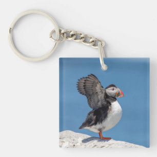 Porte-clés Puffin de l'Atlantique à Machias, au Moyen-Orient