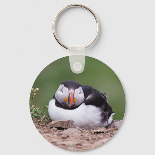 Porte-clés Puffin dormant (Recto)